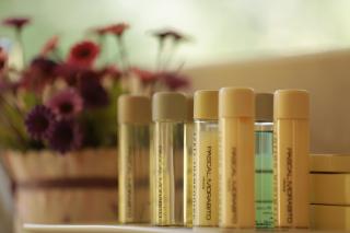 Terre Brune Hotel - 1