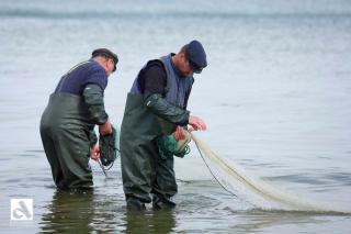 Hauptstrasse 13 DHH - 5