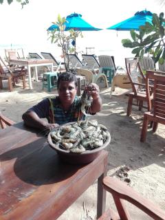Sunset Colony Beach Resort - Galle - 2