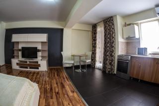 Luxury Radox Apartment Airport Bucharest - Otopeni - 1