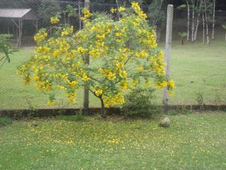 Recanto na Montanha de Gramado - Gramado - 4