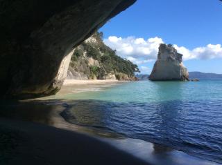 Albert Mews B and B - Whitianga - 4