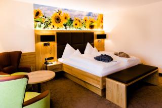 Thermalhotel Gass - Bad Füssing - 3