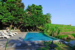 Puri Taman Sari Resort - Tabanan - 4