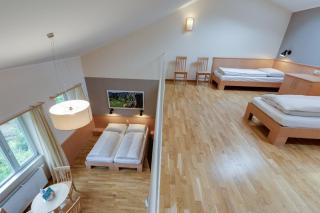 JUFA Hotel Veitsch - 0