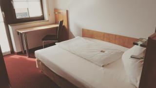 Hotel Jägerhof - Roth - 3