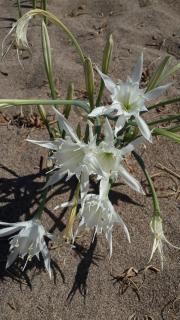 KUŞ YUVASI PANSiYON - 6