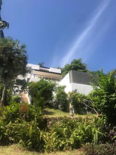 Wild Palms - Ban Tai - 5
