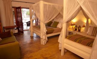 Kambaku Safari Lodge - Timbavati Game Reserve - 2