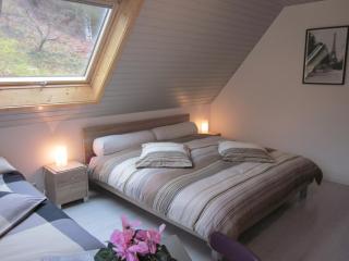 Chambres d'hôtes "Au Val Séjour" Alsace - Saint-Martin - 1