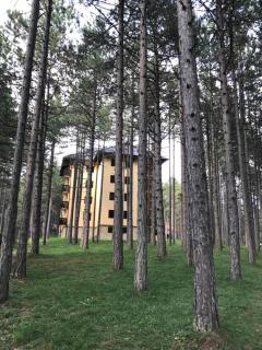 Zlatibor apartmani Jakovljevic - 1