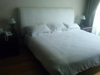 Suites Lerma 202 - Città del Messico - 7