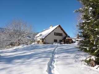 Gîte des Gorges du Bruyant - Saint-Nizier-du-Moucherotte - 0