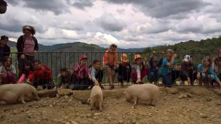 La ferme des Cévennes - Florac - 3