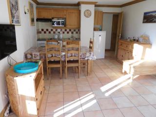 les 7 laux immobilier chalet C - Prapoutel - 7