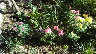 Wilka Pacha - Casas Serranas - 3