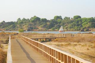 Estudio Centro de Alvor - Alvor - 1