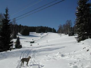 Chalet Helena - Nové Hamry - 3