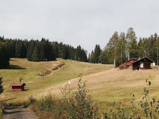 Chalet Helena - Nové Hamry - 4