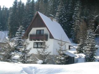 Chalet Helena - Nové Hamry - 6