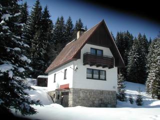 Chalet Helena - Nové Hamry - 9