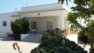 Villa Mediterranea tra gli ulivi - 7