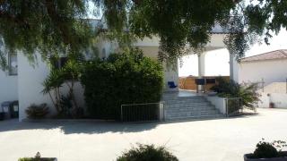 Villa Mediterranea tra gli ulivi - 8