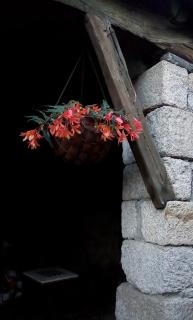 Casa das Freiras - 5