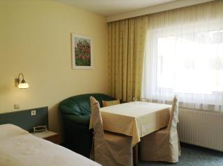 Parkpension Billroth - Bad Hall - 3
