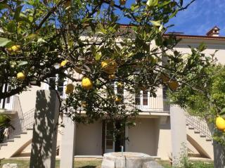 Villa Caterina - Sapri - 6