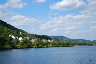 Weingut Pension Gibbert-Pohl - Briedel - 4
