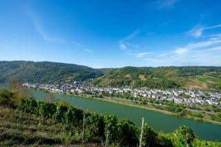 Weingut Pension Gibbert-Pohl - Briedel - 8