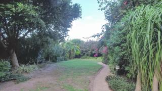 Suzy's Place - Port Edward - 1