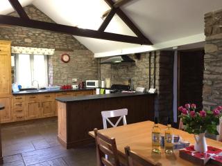 Llwyn Llwyd Cottage - Brecon - 9