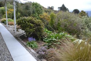 Treetops B&B - Portobello - 8