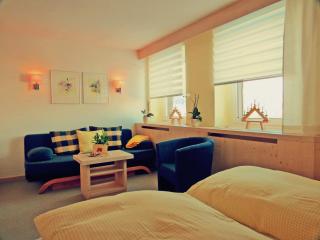 Ferienhotel Mühlleithen - Klingenthal - 4