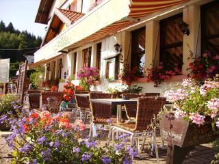Hôtel La Vallée - Xonrupt-Longemer - 7