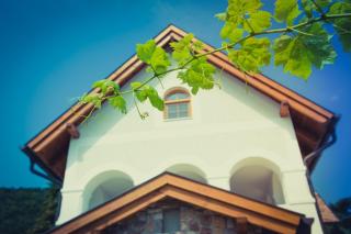 Csendes Dűlő Szőlőbirtok Guesthouse Badacsonyörs - 4