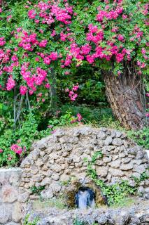Hotel Rural Noguera de la Sierpe - 4