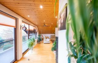 Ferienwohnung Virginija - Ditscheid - 1