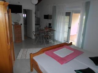 Studio in Nin/Zadar Riviera 8216 - Nin - 7