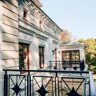Pałac Wierzbiczany - Gniewkowo - 8