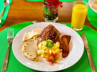 Arenal Oasis Eco Lodge & Wildlife Refuge - Fortuna - 7