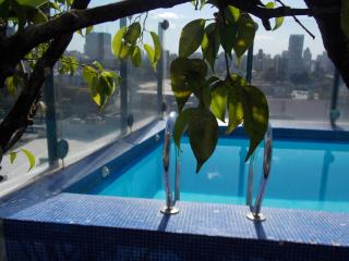 Bosques & Lagos Palermo - Buenos Aires - 7