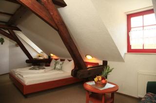 Hotel Zur Fernmühle - Ziegenrück - 2