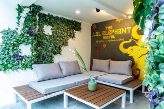 The LOL Elephant Hostel - 1