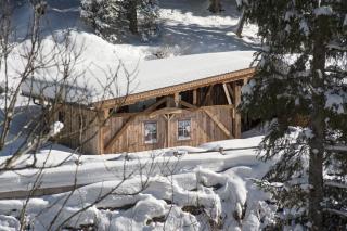 Almnest in Hochfügen mit privat SPA - Hochfugen - 5