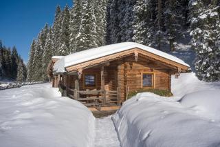 Almnest in Hochfügen mit privat SPA - Hochfugen - 9