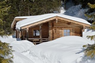 Almnest in Hochfügen mit privat SPA - Hochfugen - 7