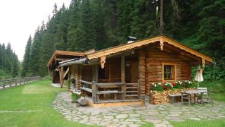 Almnest in Hochfügen mit privat SPA - Hochfugen - 2
